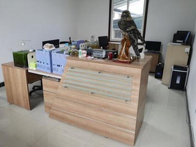 攜手共進，再譜新篇——熱烈祝賀九度與漢武機電簽署網站服務協議，深化針紡織品及原料銷售合作